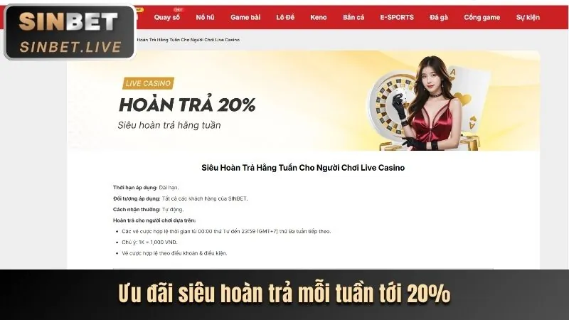 Ưu đãi VIP vinagames bet